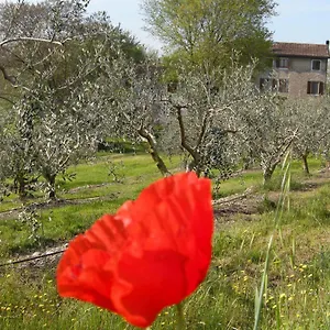  Bed & Breakfast I Vigneti